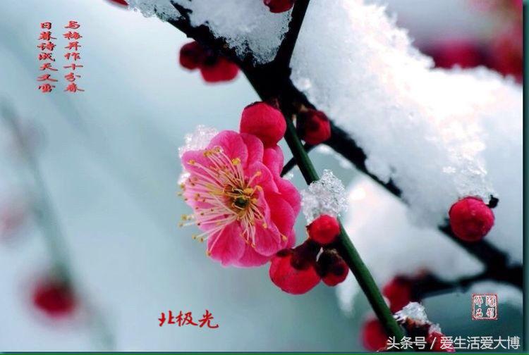 蛟河煤矿曾经的故乡......唤醒尘封的记忆