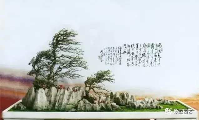 盆景欣赏难得一见的绝美盆景艺术,风萧萧兮易水寒草书