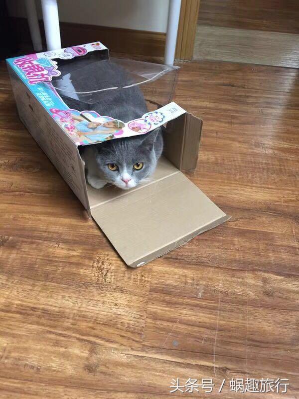 大理回族干货,二月份洱海值得去吗