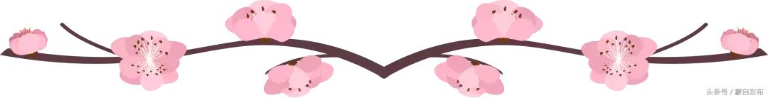 美丽的樱花谷美景,樱花谷美丽的好地方