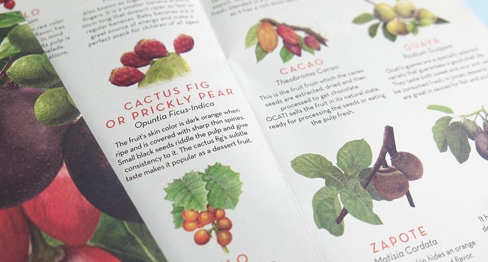 十大顶级高端水果包装,水果干品牌包装设计