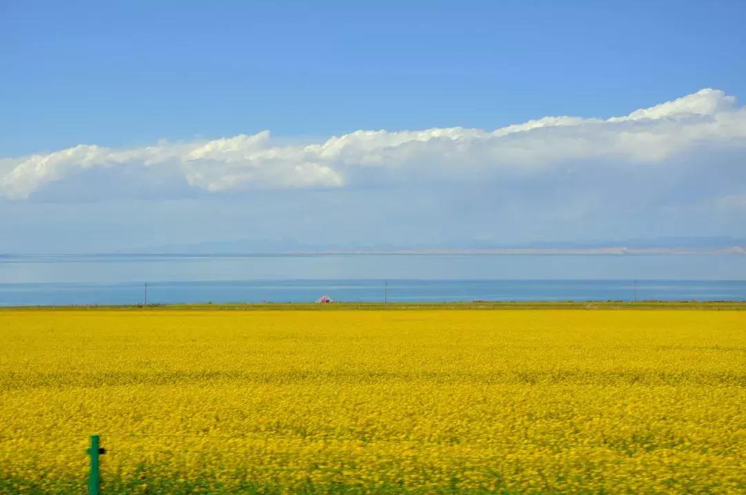 自驾游怎么穿越雪谷,自驾穿越雪地雾凇视频
