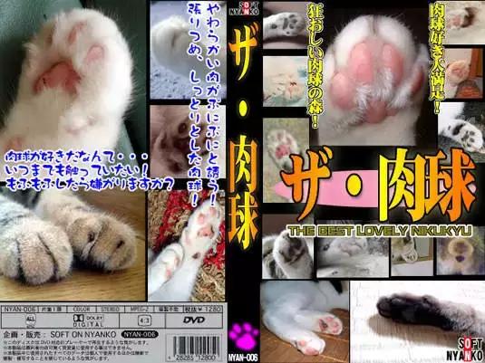 猫片大全及价格表,猫片是什么意思
