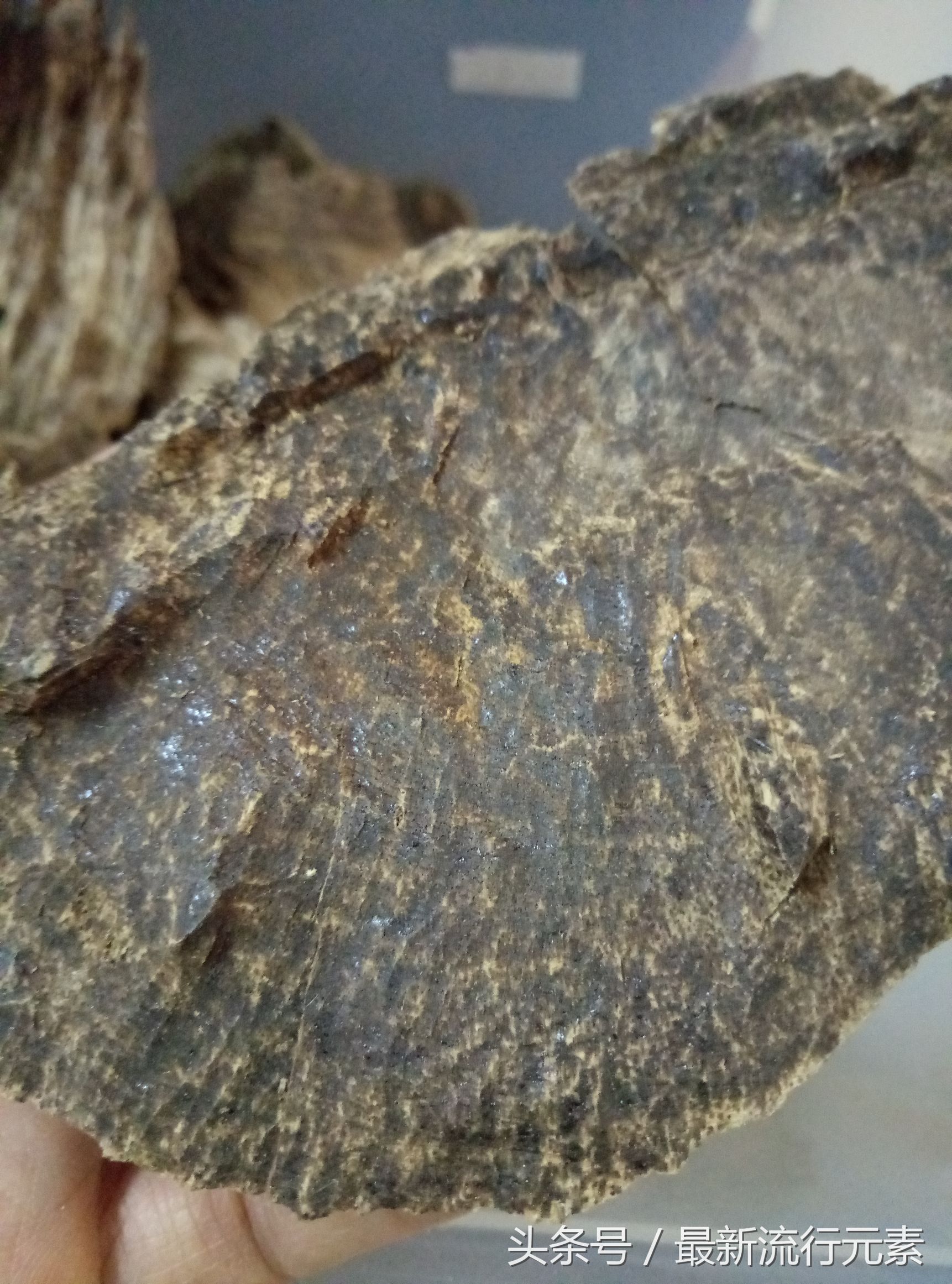 檀香和沉香有什么功效,檀香跟沉香