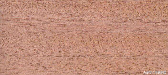 非洲沙比利木详解及真假辨别