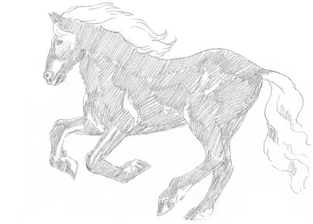 国画素描教程零基础入门,零基础学素描初学者入门教学