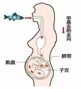 吃鱼好，吃好鱼，那么要怎样挑选呢？今天郭医生就带你来挑选好鱼