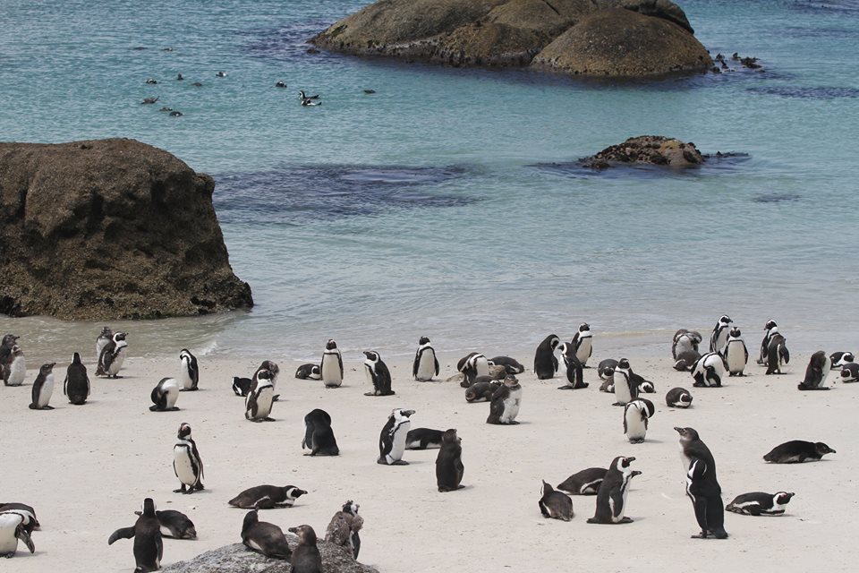 春天没能一起放风筝夏天一起看海,春天去不去旅游