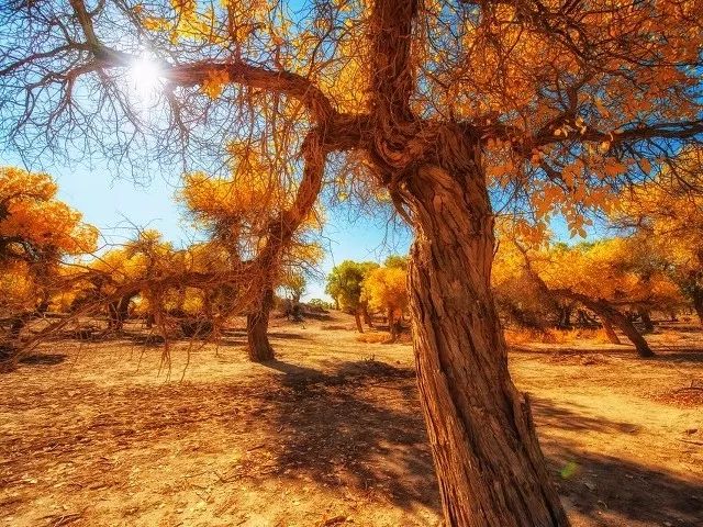 28岁前该去的9个旅游地,必去的30个旅行地