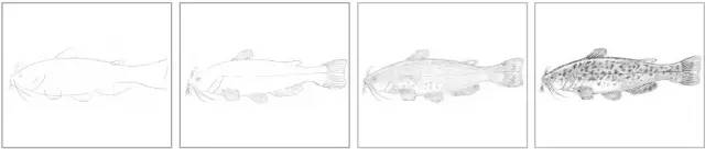 素描入门零基础教程动漫人物,素描入门零基础教程排线握笔