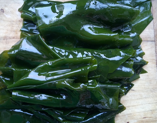 新鲜海带怎么处理不变色,新鲜海带怎么处理好吃