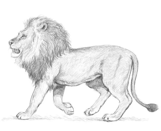 素描入门零基础教程动漫人物,素描入门零基础教程排线握笔