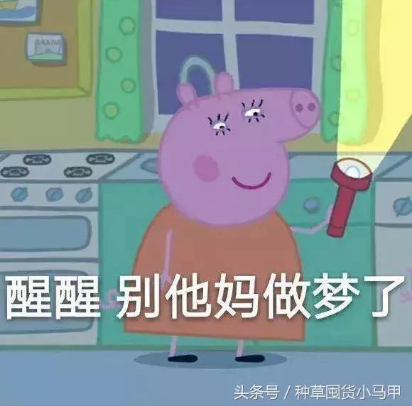 十大没必要买的东西,不能买的十大物件