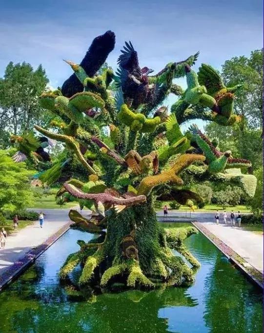 刚出的群主相册,有群的都看看,太美了,这一辈子见一次值了!