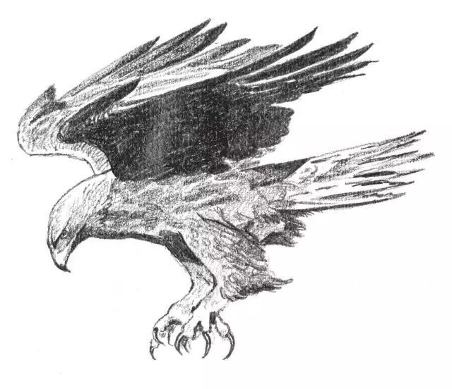 素描入门零基础教程动漫人物,素描入门零基础教程排线握笔