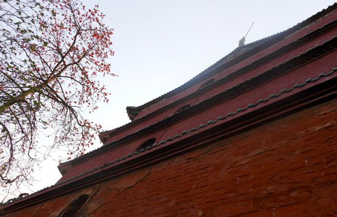 木棉花季，观众画风各异，老广州的画风肯定是这样，单纯又美味