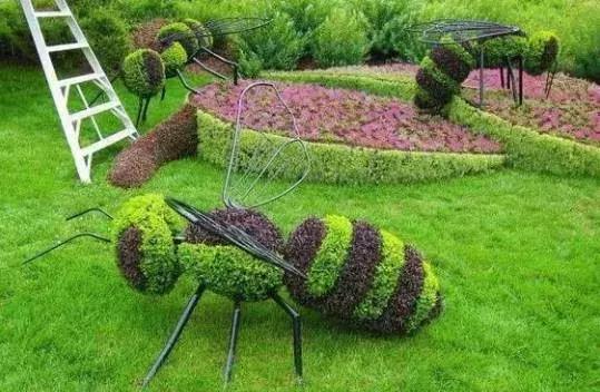 刚出的群主相册,有群的都看看,太美了,这一辈子见一次值了!