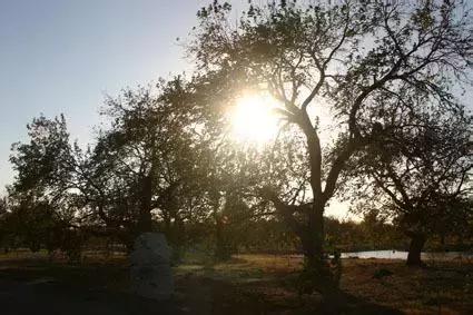 北京各区16处免费森林公园,森林公园北京有几个