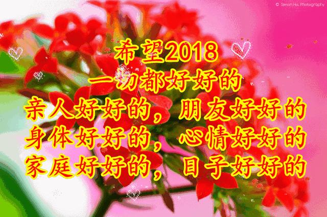 11月4,有群的都看看,太美了,这一辈子见一次值了!