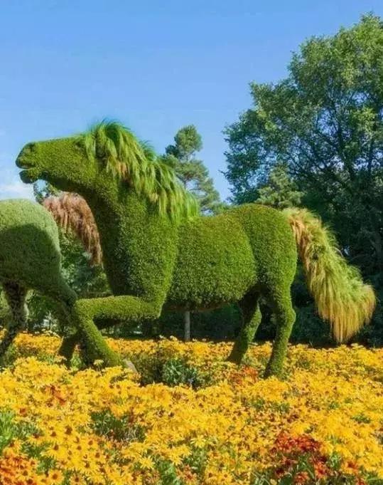 11月4,有群的都看看,太美了,这一辈子见一次值了!