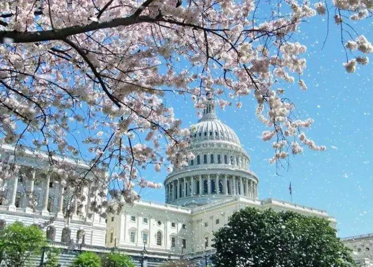 旅游签证被拒护照怎么刷白,旅游签证被拒签怎么办理护照