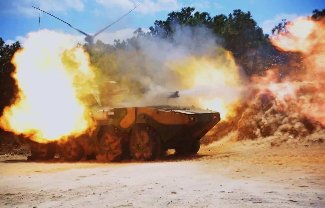 女兵选什么兵种容易当特种兵,女兵为何不能当炮兵