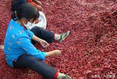 中国庞贝古城内黄县，商中宗陵系中国唯一一处商代地上王陵