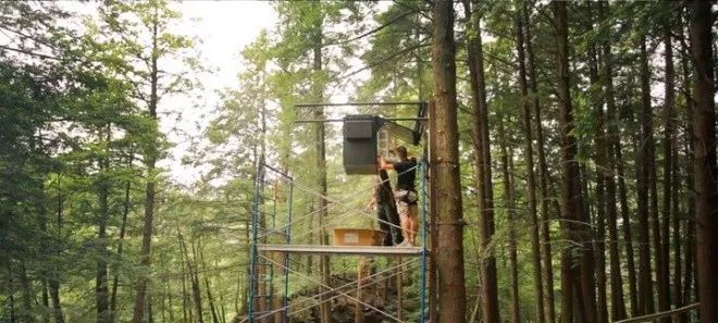 加拿大奇幻森林,加拿大魔法森林风景