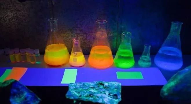 加拿大奇幻森林,加拿大魔法森林风景