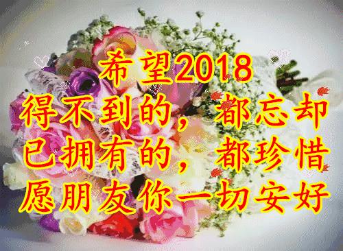 11月4,有群的都看看,太美了,这一辈子见一次值了!