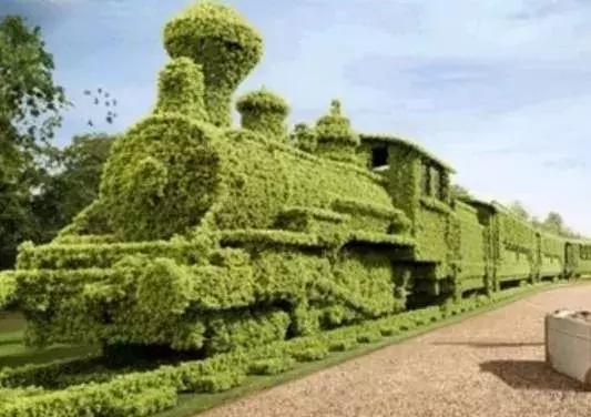 刚出的群主相册,有群的都看看,太美了,这一辈子见一次值了!