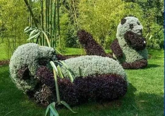 11月4，有群的都看看，太美了，这一辈子见一次值了！