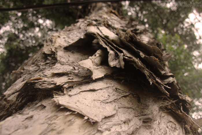 谈曾经广州恒大足球队,广州恒大足球俱乐部讲不出再见
