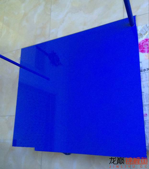 粘锦鲤地缸教程,鱼友锦鲤地缸