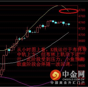 小鱼生财:5.20欧盘原油沥青操作建议