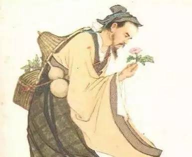 中药小故事180篇,中药小故事大全300个字