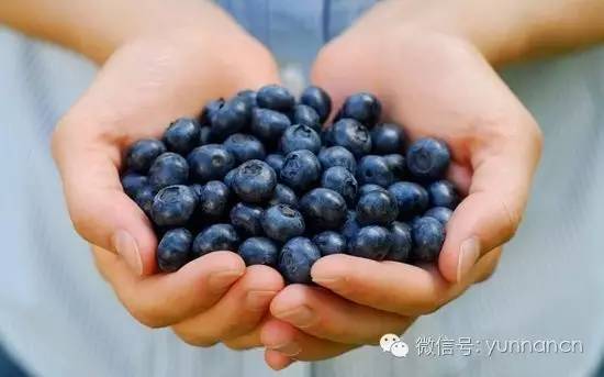 进口水果好卖吗,进口洋水果推荐