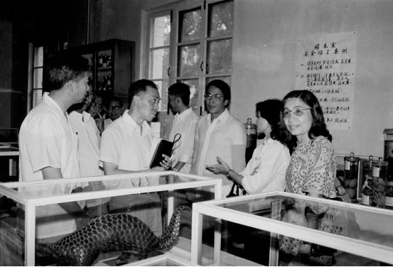 国医大师从医六十年分享全视频,国医大师谈中医如何走向世界