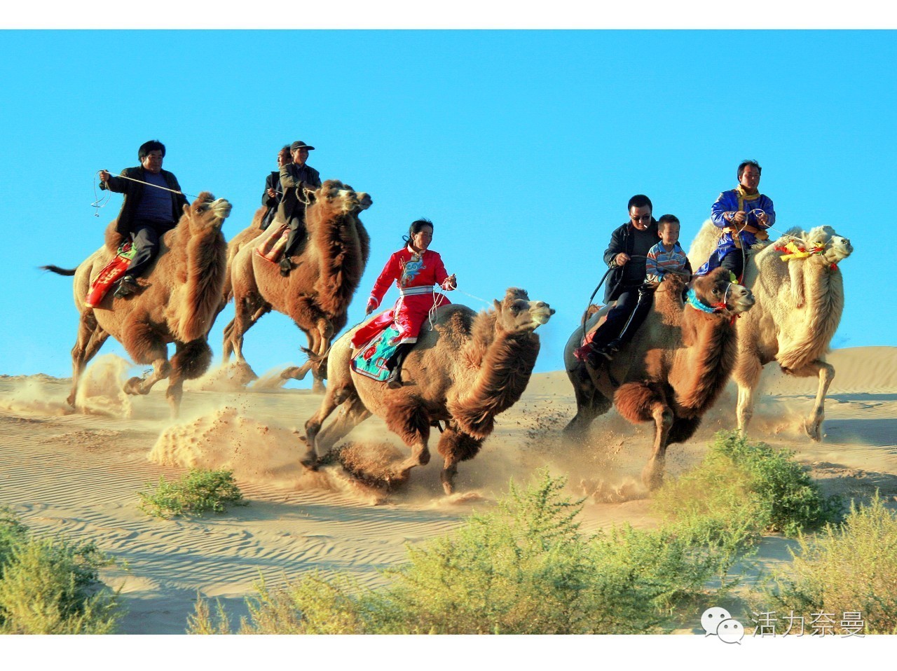 通辽奈曼宝古图沙漠,奈曼旗宝古图沙漠旅游视频