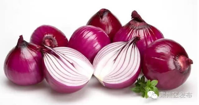 《地理标志产品 酒泉洋葱》地方标准通过专家审查