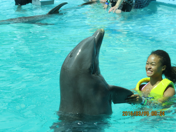 去巴西阿根廷秘鲁智利四国游,巴西阿根廷智利秘鲁地图