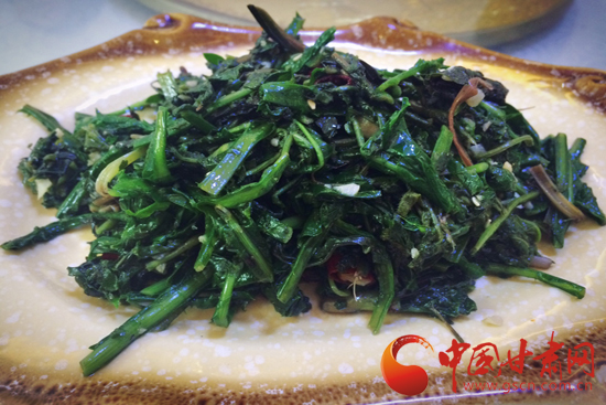 来一场说走就走的旅行第一站陇南,身未动心已远演唱