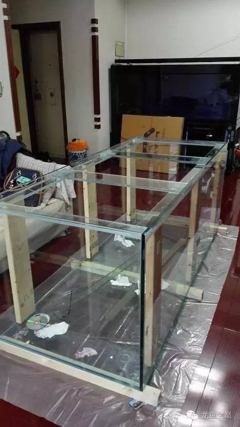 超级白，超会做，这才叫养鱼！