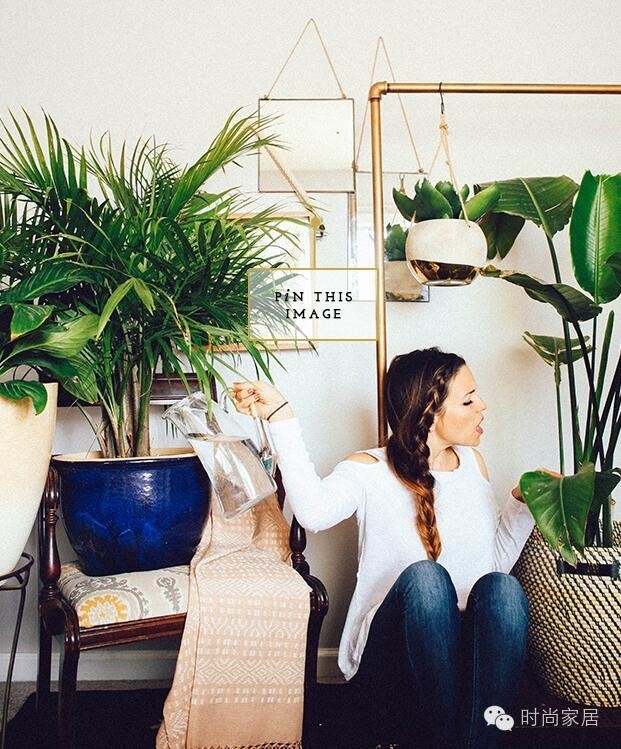 如何打造小型珍稀植物园,如何打造一个美丽的植物园