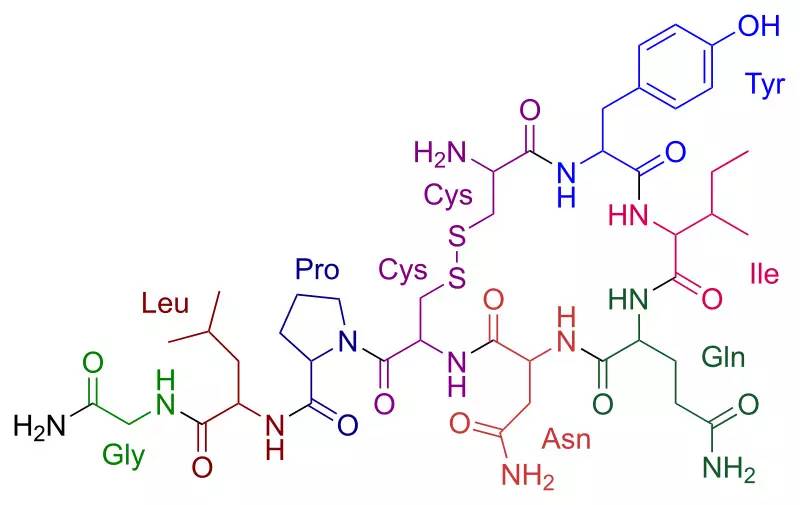 你的爱情到底怎么样,爱情的催产素怎么产生