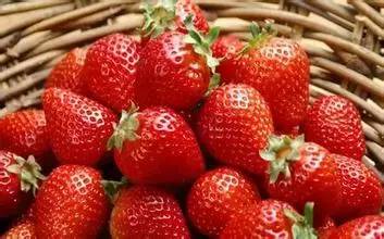 是不是正宗滨海人，一句话就能证明！