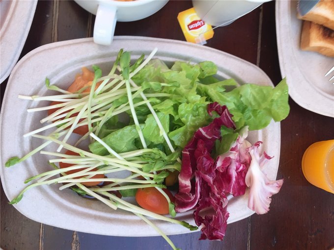 为了忘却的记忆全文,为了忘却的记忆1