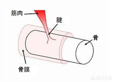 骨折2周骨折处疼痛,骨折康复训练时骨折处会有疼痛