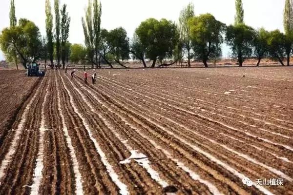 农村合作社怎样成立需要多少钱,合作社注册条件以及补贴政策