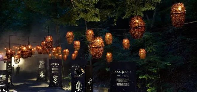 加拿大奇幻森林,加拿大魔法森林风景